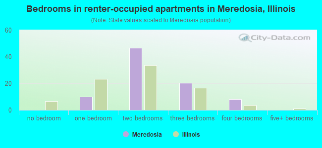 Bedrooms in renter-occupied apartments in Meredosia, Illinois