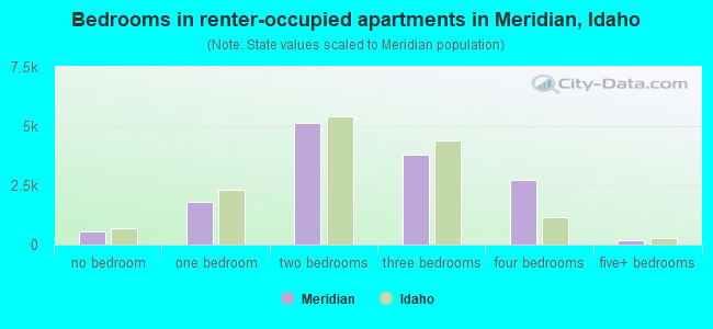 Bedrooms in renter-occupied apartments in Meridian, Idaho