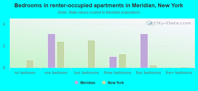 Bedrooms in renter-occupied apartments in Meridian, New York