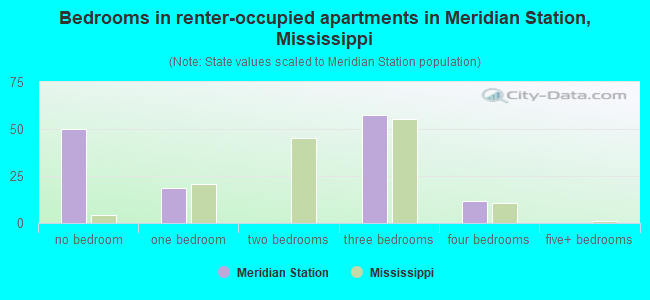 Bedrooms in renter-occupied apartments in Meridian Station, Mississippi