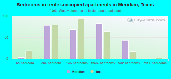 Bedrooms in renter-occupied apartments in Meridian, Texas