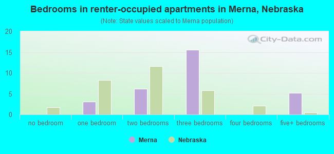 Bedrooms in renter-occupied apartments in Merna, Nebraska