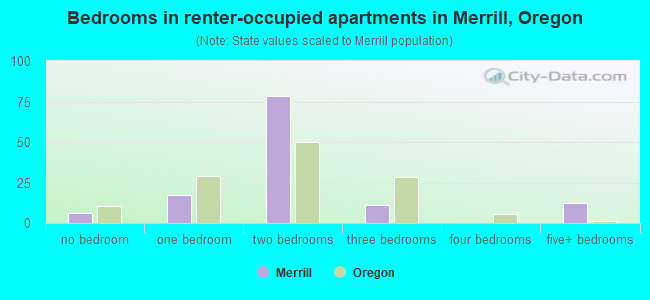 Bedrooms in renter-occupied apartments in Merrill, Oregon