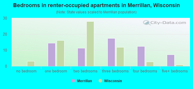 Bedrooms in renter-occupied apartments in Merrillan, Wisconsin