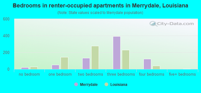 Bedrooms in renter-occupied apartments in Merrydale, Louisiana