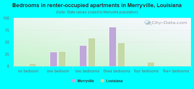 Bedrooms in renter-occupied apartments in Merryville, Louisiana