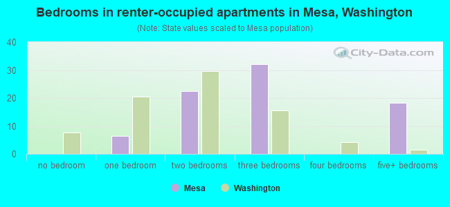 Bedrooms in renter-occupied apartments in Mesa, Washington