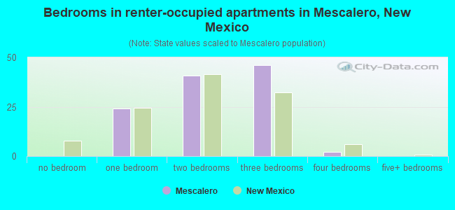 Bedrooms in renter-occupied apartments in Mescalero, New Mexico