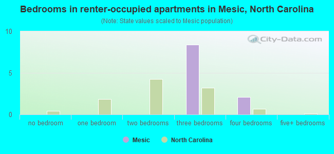 Bedrooms in renter-occupied apartments in Mesic, North Carolina