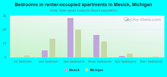 Bedrooms in renter-occupied apartments in Mesick, Michigan