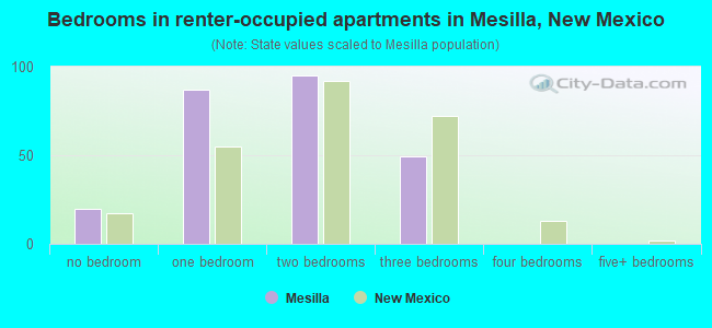 Bedrooms in renter-occupied apartments in Mesilla, New Mexico