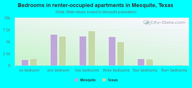 Bedrooms in renter-occupied apartments in Mesquite, Texas