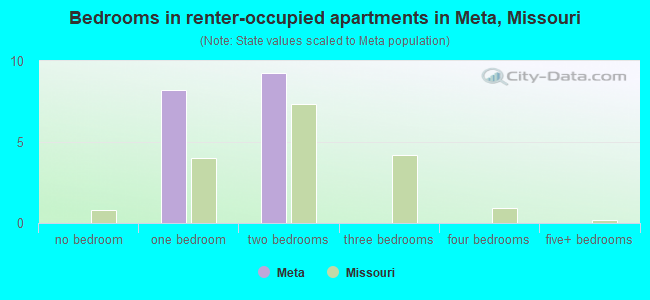 Bedrooms in renter-occupied apartments in Meta, Missouri