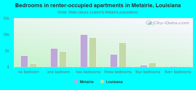 Bedrooms in renter-occupied apartments in Metairie, Louisiana