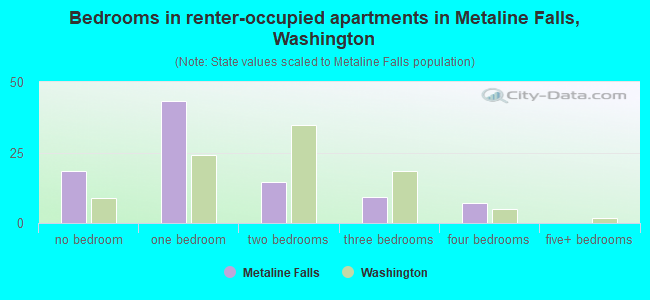 Bedrooms in renter-occupied apartments in Metaline Falls, Washington