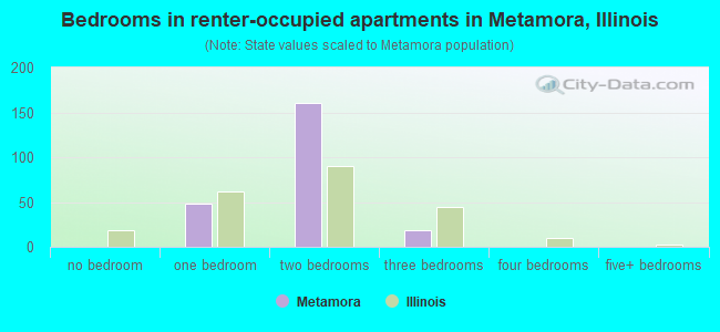 Bedrooms in renter-occupied apartments in Metamora, Illinois