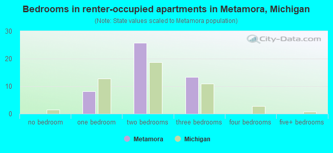 Bedrooms in renter-occupied apartments in Metamora, Michigan
