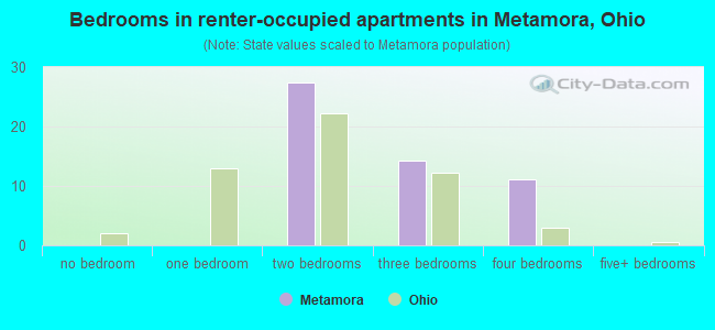 Bedrooms in renter-occupied apartments in Metamora, Ohio