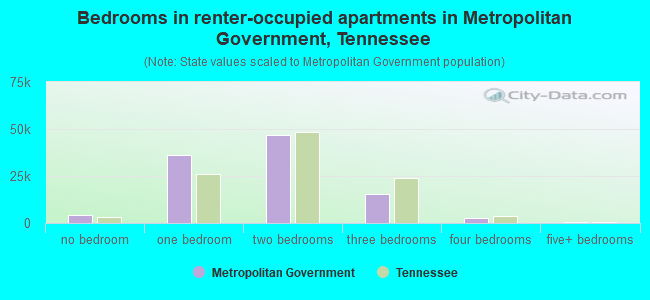 Bedrooms in renter-occupied apartments in Metropolitan Government, Tennessee