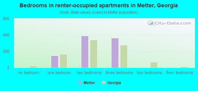 Bedrooms in renter-occupied apartments in Metter, Georgia