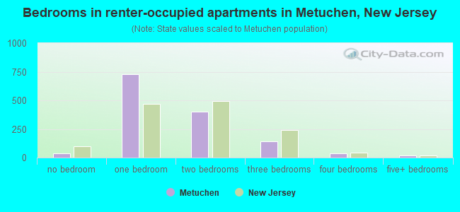 Bedrooms in renter-occupied apartments in Metuchen, New Jersey