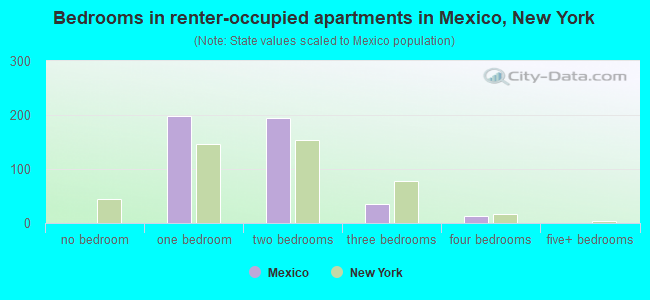 Bedrooms in renter-occupied apartments in Mexico, New York