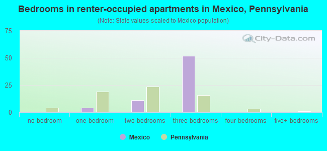 Bedrooms in renter-occupied apartments in Mexico, Pennsylvania