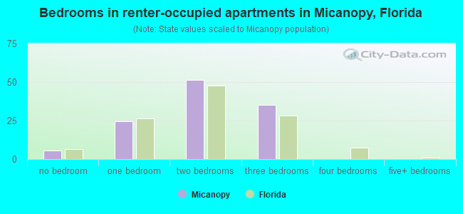 Bedrooms in renter-occupied apartments in Micanopy, Florida