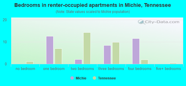 Bedrooms in renter-occupied apartments in Michie, Tennessee