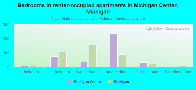 Bedrooms in renter-occupied apartments in Michigan Center, Michigan