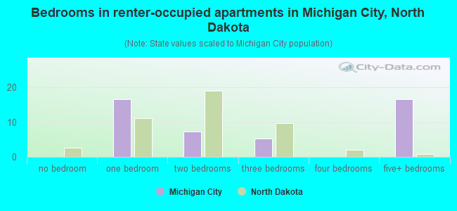 Bedrooms in renter-occupied apartments in Michigan City, North Dakota