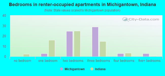 Bedrooms in renter-occupied apartments in Michigantown, Indiana