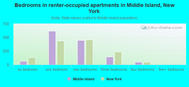 Bedrooms in renter-occupied apartments in Middle Island, New York