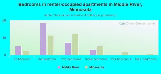 Bedrooms in renter-occupied apartments in Middle River, Minnesota
