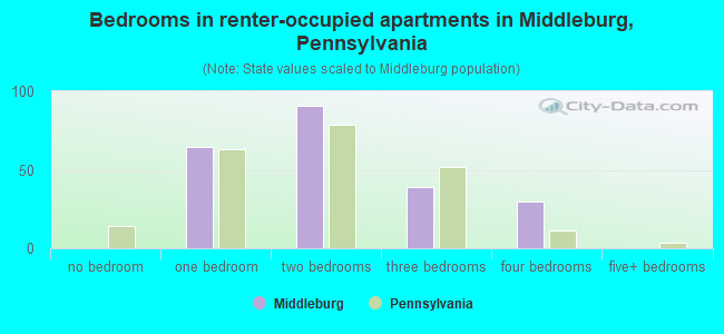 Bedrooms in renter-occupied apartments in Middleburg, Pennsylvania