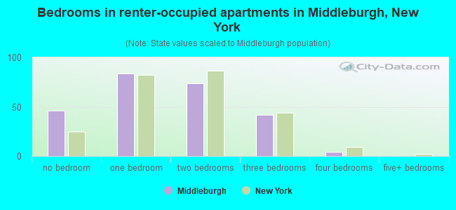 Bedrooms in renter-occupied apartments in Middleburgh, New York