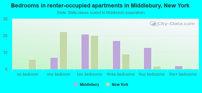 Bedrooms in renter-occupied apartments in Middlebury, New York