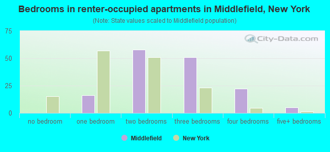 Bedrooms in renter-occupied apartments in Middlefield, New York