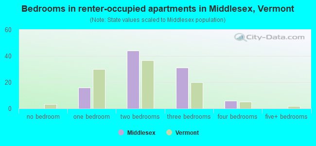 Bedrooms in renter-occupied apartments in Middlesex, Vermont