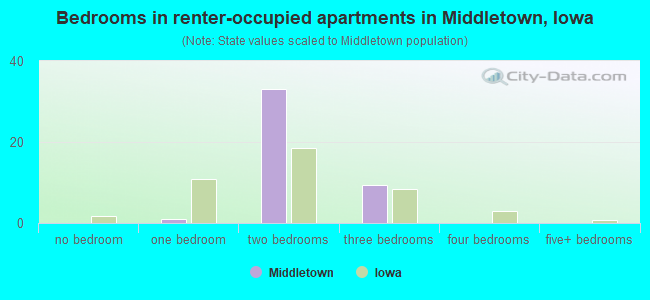 Bedrooms in renter-occupied apartments in Middletown, Iowa