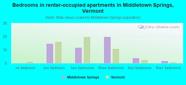 Bedrooms in renter-occupied apartments in Middletown Springs, Vermont