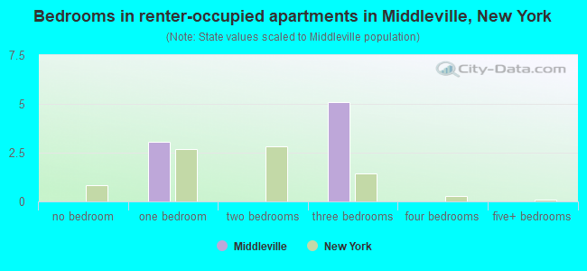 Bedrooms in renter-occupied apartments in Middleville, New York
