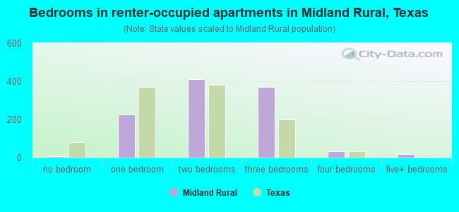 Bedrooms in renter-occupied apartments in Midland Rural, Texas