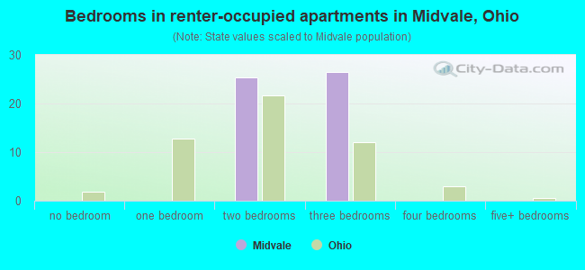 Bedrooms in renter-occupied apartments in Midvale, Ohio