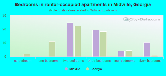 Bedrooms in renter-occupied apartments in Midville, Georgia