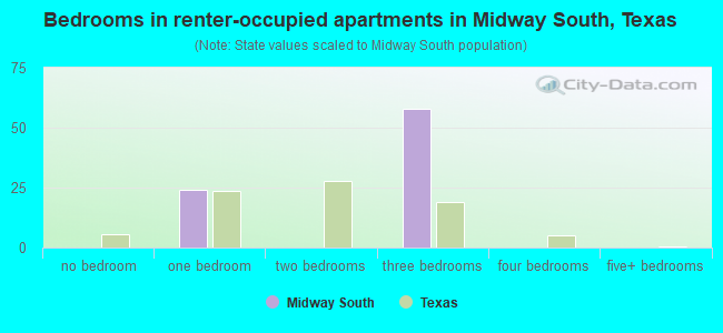Bedrooms in renter-occupied apartments in Midway South, Texas