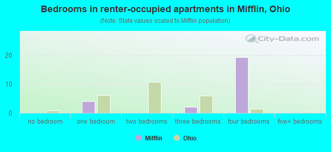Bedrooms in renter-occupied apartments in Mifflin, Ohio