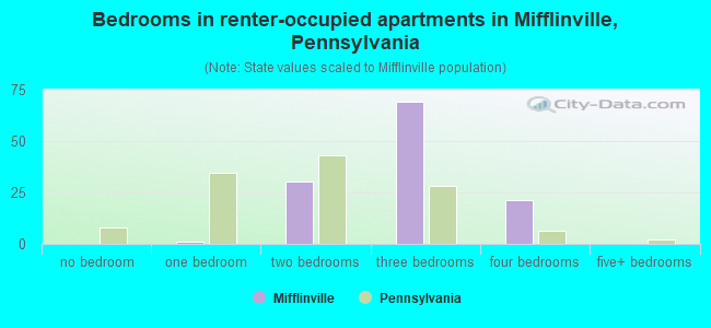 Bedrooms in renter-occupied apartments in Mifflinville, Pennsylvania