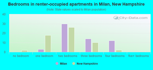 Bedrooms in renter-occupied apartments in Milan, New Hampshire