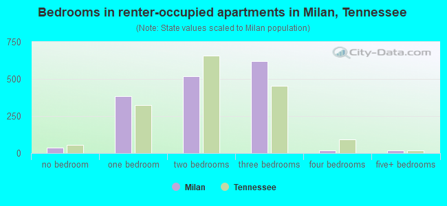 Bedrooms in renter-occupied apartments in Milan, Tennessee